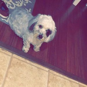 Meet your Posher, Luke